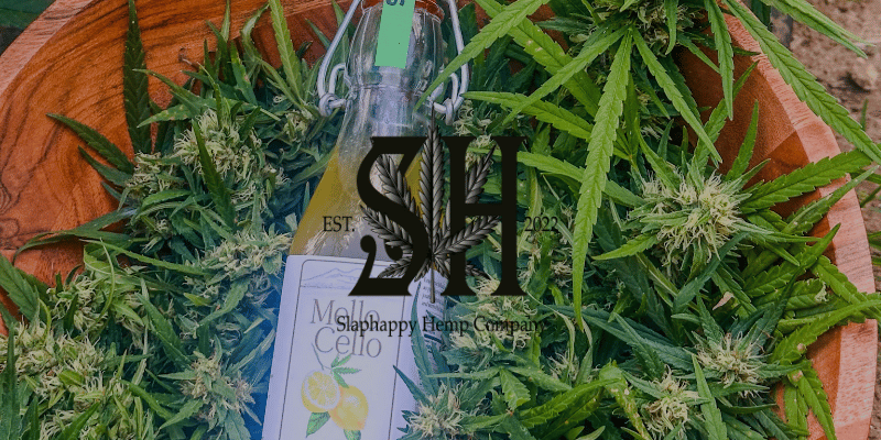 a bottle of mellocello sitting on a bed of cannabis