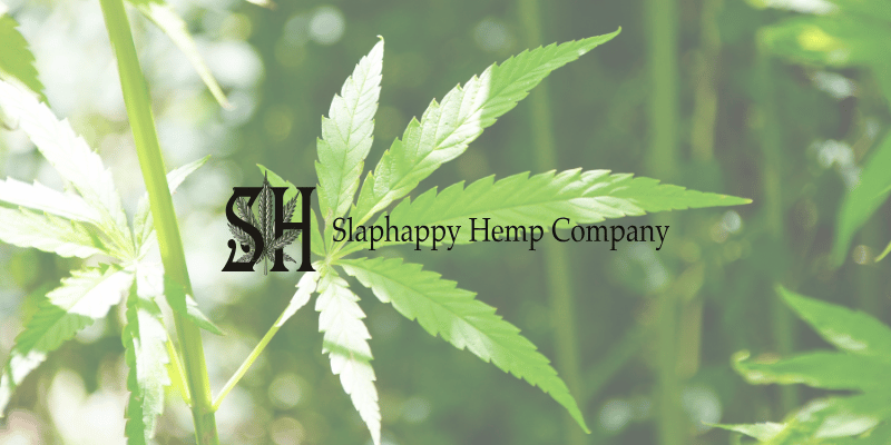Slaphappy Hemp Company objects to Missouri SB 54