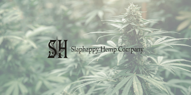 An image of a marijuana plant