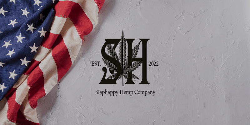 an american flag and the slaphappy logo set against a white background