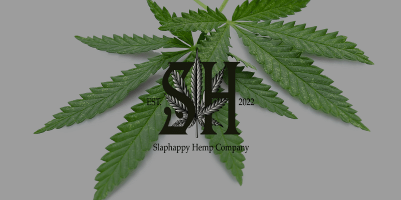 a cannabis leaf set against a white background