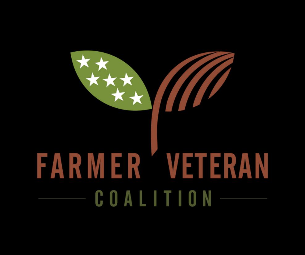 cbd olive oil felix Folia